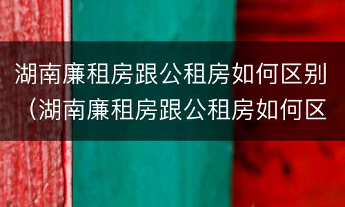 湖南廉租房跟公租房如何区别（湖南廉租房跟公租房如何区别的）