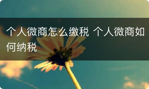 个人微商怎么缴税 个人微商如何纳税
