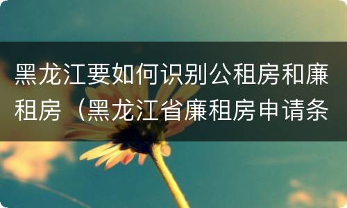 黑龙江要如何识别公租房和廉租房（黑龙江省廉租房申请条件）