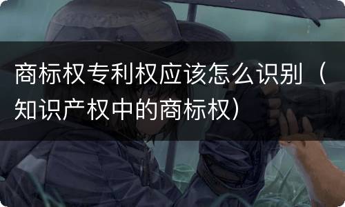 商标权专利权应该怎么识别（知识产权中的商标权）