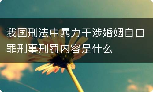 我国刑法中暴力干涉婚姻自由罪刑事刑罚内容是什么