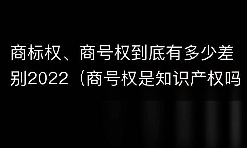 商标权、商号权到底有多少差别2022（商号权是知识产权吗）