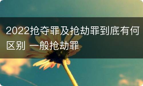 2022抢夺罪及抢劫罪到底有何区别 一般抢劫罪