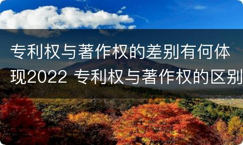 专利权与著作权的差别有何体现2022 专利权与著作权的区别与联系