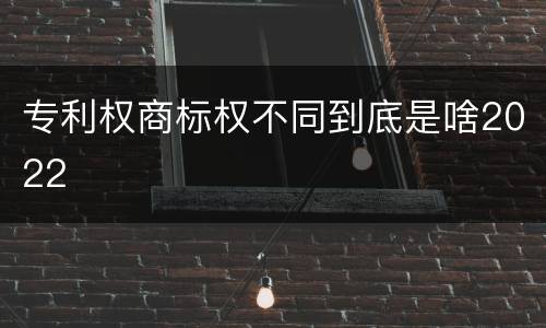 专利权商标权不同到底是啥2022