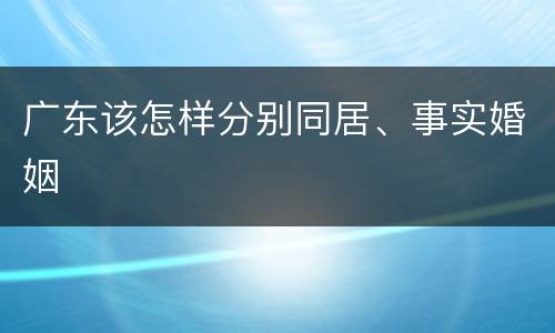 广东该怎样分别同居、事实婚姻