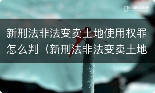 新刑法非法变卖土地使用权罪怎么判（新刑法非法变卖土地使用权罪怎么判决）