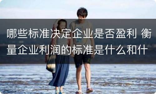 哪些标准决定企业是否盈利 衡量企业利润的标准是什么和什么