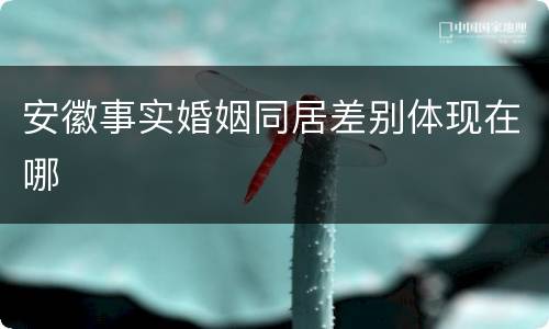 安徽事实婚姻同居差别体现在哪