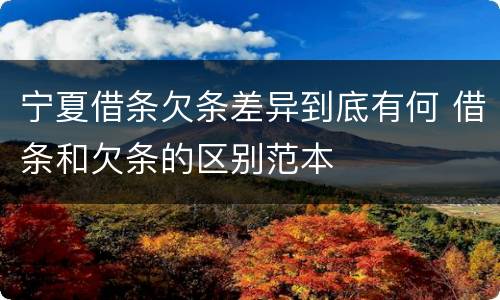 宁夏借条欠条差异到底有何 借条和欠条的区别范本