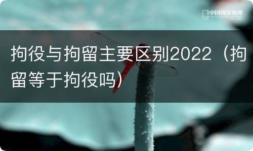 拘役与拘留主要区别2022（拘留等于拘役吗）