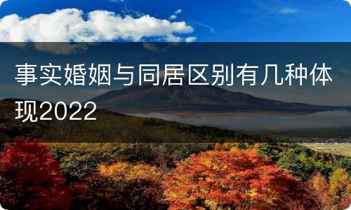 事实婚姻与同居区别有几种体现2022
