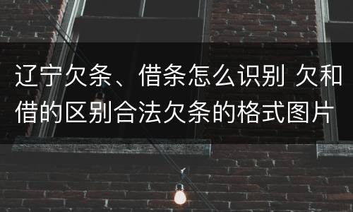 辽宁欠条、借条怎么识别 欠和借的区别合法欠条的格式图片