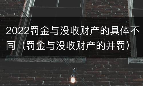 2022罚金与没收财产的具体不同（罚金与没收财产的并罚）