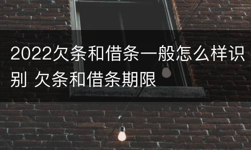 2022欠条和借条一般怎么样识别 欠条和借条期限
