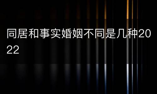 同居和事实婚姻不同是几种2022
