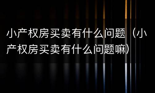 小产权房买卖有什么问题（小产权房买卖有什么问题嘛）