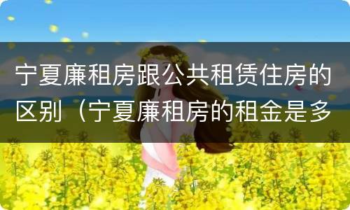 宁夏廉租房跟公共租赁住房的区别（宁夏廉租房的租金是多少钱）
