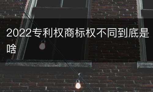 2022专利权商标权不同到底是啥