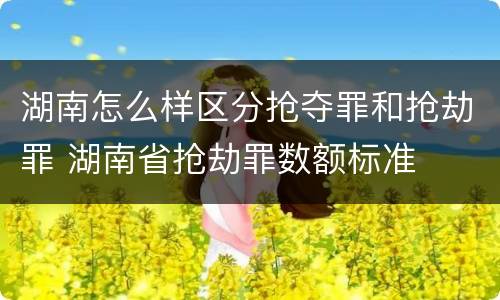 湖南怎么样区分抢夺罪和抢劫罪 湖南省抢劫罪数额标准