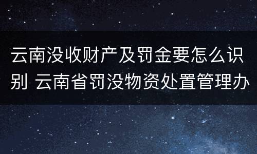 云南没收财产及罚金要怎么识别 云南省罚没物资处置管理办法