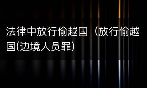 法律中放行偷越国（放行偷越国(边境人员罪）