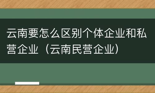 云南要怎么区别个体企业和私营企业（云南民营企业）
