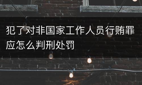 犯了对非国家工作人员行贿罪应怎么判刑处罚