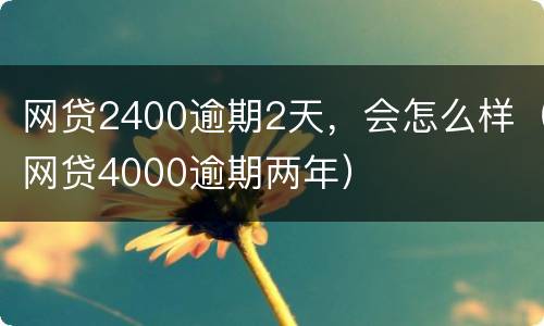 网贷2400逾期2天，会怎么样（网贷4000逾期两年）