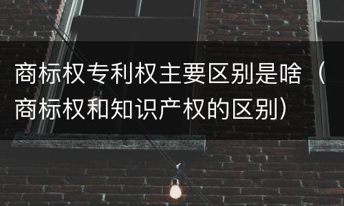 商标权专利权主要区别是啥（商标权和知识产权的区别）