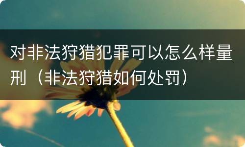 对非法狩猎犯罪可以怎么样量刑（非法狩猎如何处罚）