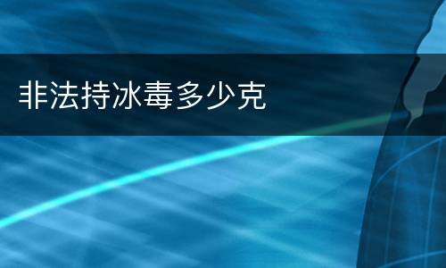 非法持冰毒多少克