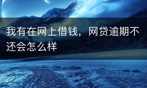 我有在网上借钱，网贷逾期不还会怎么样