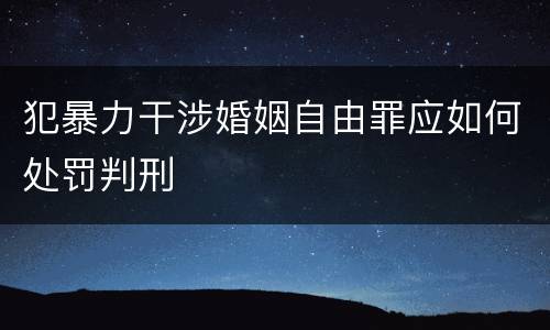 犯暴力干涉婚姻自由罪应如何处罚判刑