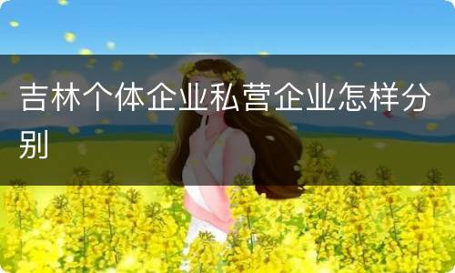 吉林个体企业私营企业怎样分别
