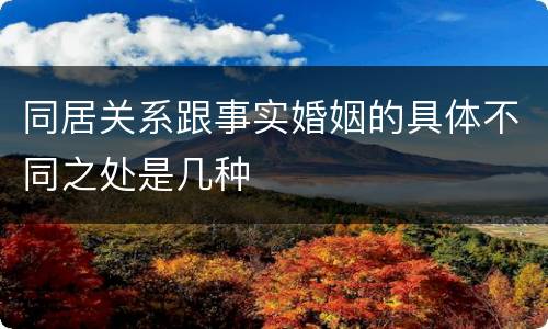 同居关系跟事实婚姻的具体不同之处是几种