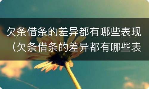 欠条借条的差异都有哪些表现（欠条借条的差异都有哪些表现呢）