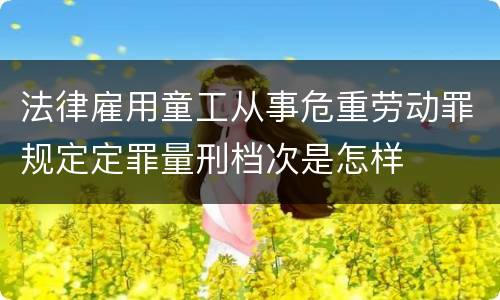法律雇用童工从事危重劳动罪规定定罪量刑档次是怎样