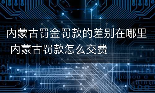 内蒙古罚金罚款的差别在哪里 内蒙古罚款怎么交费