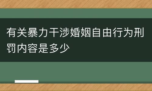 有关暴力干涉婚姻自由行为刑罚内容是多少