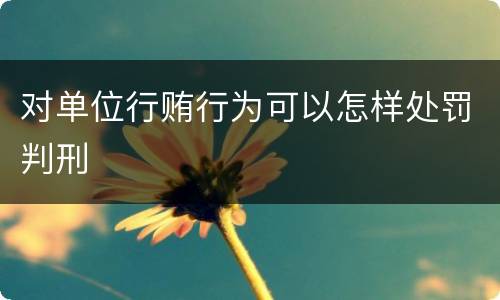 对单位行贿行为可以怎样处罚判刑