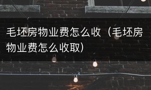 毛坯房物业费怎么收（毛坯房物业费怎么收取）