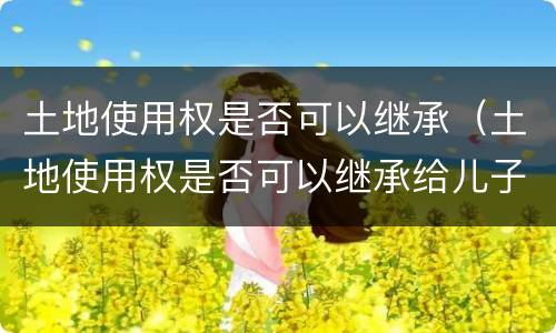 土地使用权是否可以继承（土地使用权是否可以继承给儿子）