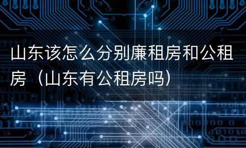 山东该怎么分别廉租房和公租房（山东有公租房吗）
