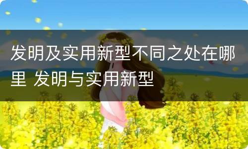 发明及实用新型不同之处在哪里 发明与实用新型