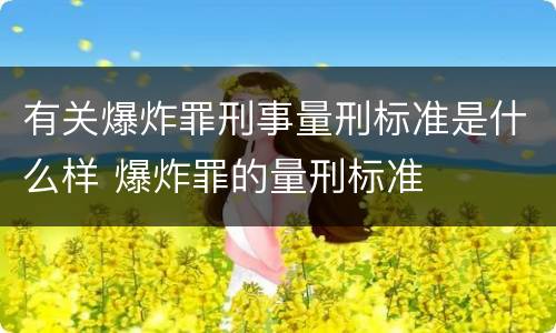 有关爆炸罪刑事量刑标准是什么样 爆炸罪的量刑标准