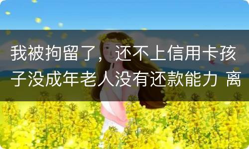 我被拘留了，还不上信用卡孩子没成年老人没有还款能力 离异