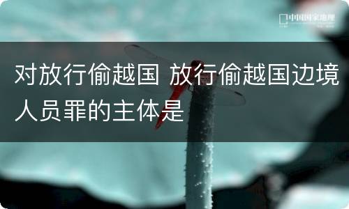 对放行偷越国 放行偷越国边境人员罪的主体是