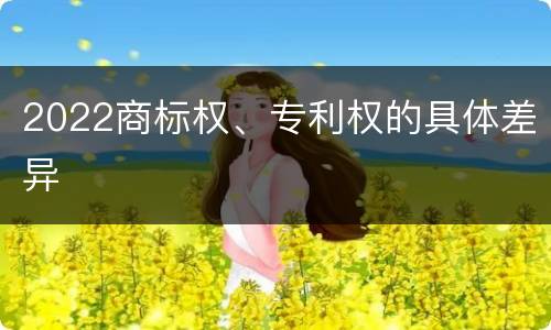 2022商标权、专利权的具体差异