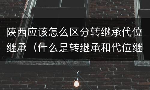 陕西应该怎么区分转继承代位继承（什么是转继承和代位继承）